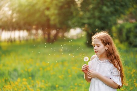 Beautiful child enjoy blowing dandelion in spring park. Little curly girl with spring flower in sunset light.の写真素材