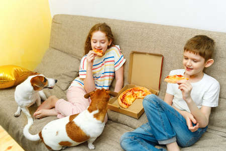 Kids and dog eating tasty pizza on the sofa in his house. Concept with consuming food, not good for health.の写真素材