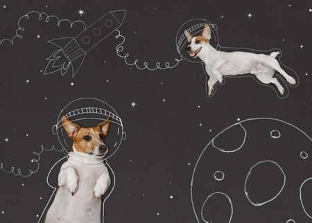Cute dogs in the space suit drawing on blackboard. First trip to space concept. 12 april day, astronautics day, back to school, successful, future, education concept.の写真素材