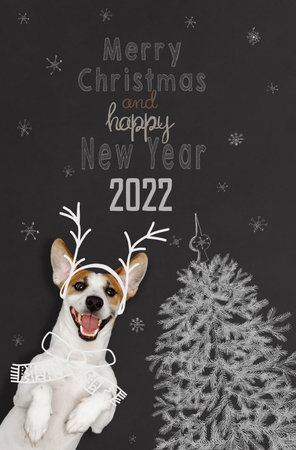 Christmas portrait the jack russell in suit reindeer. New year holiday concept.の写真素材