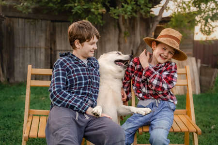 Child playing with his friend dog outdoors.の写真素材