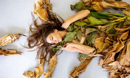 Portrait of a young sexy woman with brown hair lying artfully between leaves of a dry and green decorative banana tree, on the gray studio floor, copy space.の写真素材