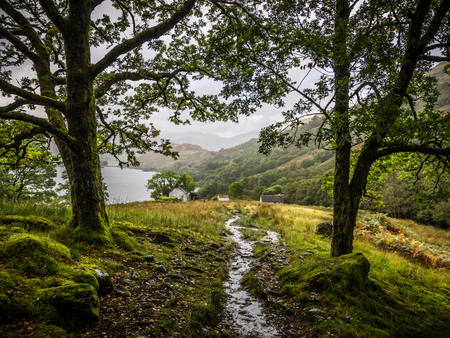 walking on the west highland way near loch lomond, scotlandの写真素材