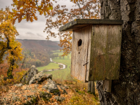 birdhouse with great view