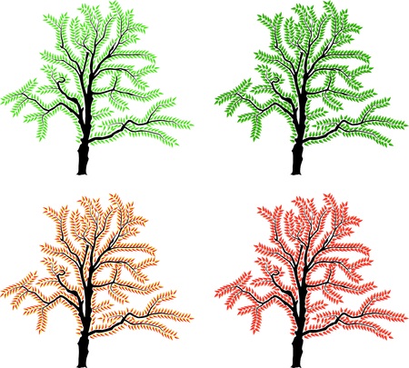 vector image of a tree in four different settingsのイラスト素材
