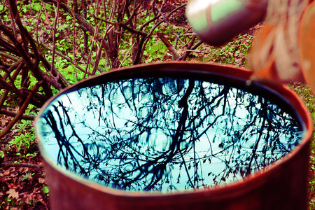 beautiful branches reflection on the water surface in rusted iron barrelの写真素材