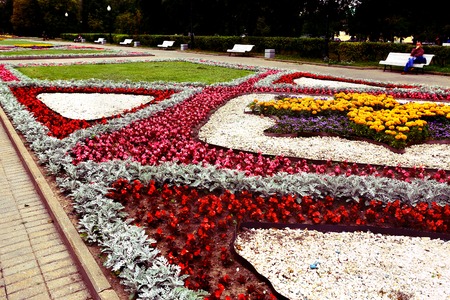 blossoming  flowerbed in capital city summer parkの写真素材