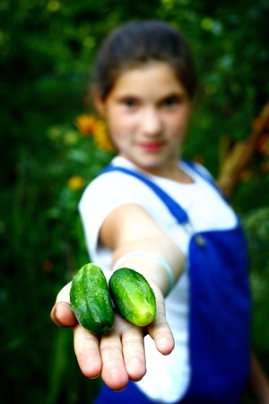 beautiful girl with ripe just from seedbed cucumbersの写真素材