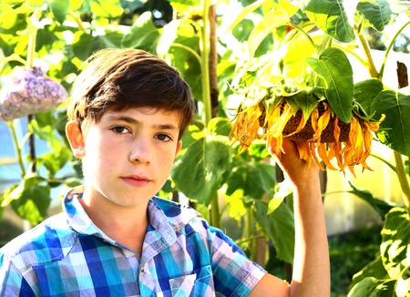 handsome boy with sunflower summer outdoor portraitの写真素材