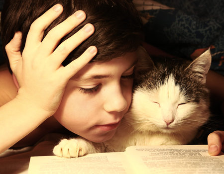 preteen handsome boy evening read book with cat in the bed before sleepの写真素材