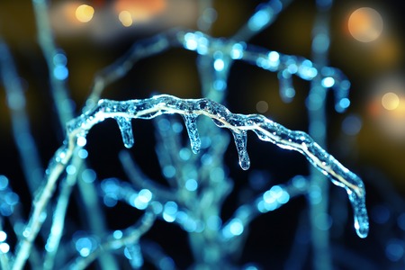 frosen icicles on tree branches night sceen close up pictureの写真素材