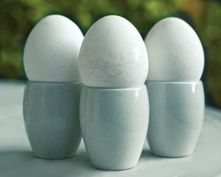 tree eggs on stand close up photo outdoor backgroundの写真素材