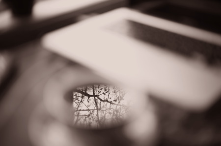 vintage monochrome blur photo of teacup with tree reflection and laptopの写真素材
