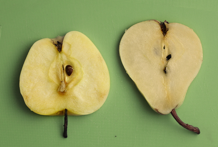 cut pear and apple close up photo on green kitchen boardの写真素材