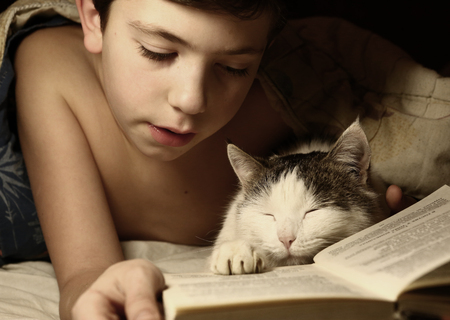 teenager boy reading book in bed with sleeping cat close up photoの写真素材