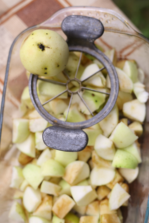 apple knife cutter with cut slices core and whole apples close up photo on kitchen board background and handsの写真素材