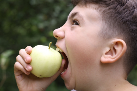 teenager boy bite apple on the summer green apple tree backgroundの写真素材