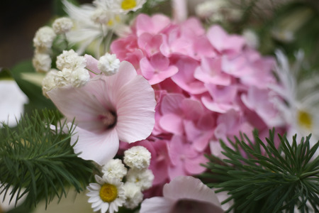close up photo of composed bouquet of hydrangea, chamomile and dasies flowersの写真素材