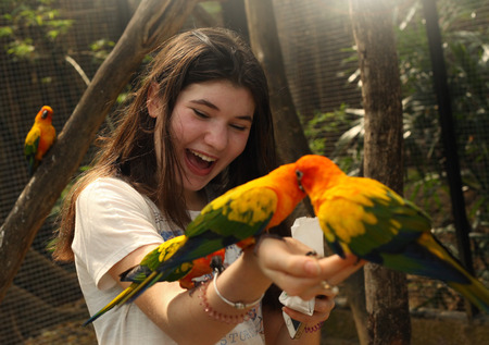 teenager girl in asian zoo feeding ara parrots close up funny photoの写真素材