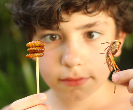 teenager boy with disgust grimace hold unusial strange thai food roasted silkworm and grasshopper on...