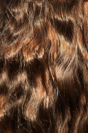 brown think healthy shining hair close up photoの写真素材