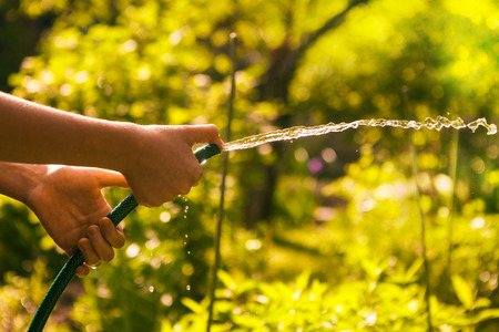 brown think healthy shining hair close up photoの写真素材
