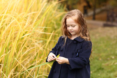 Irish little girl outdoor photo on fall landscape backgroundの写真素材
