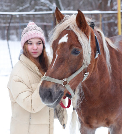 girl with long brown hair and chestnut horse with plaited mane close up portrait on winter snowy...