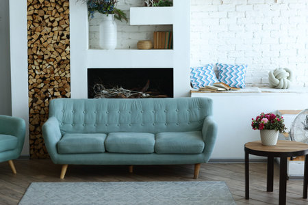 cute modern bedroom interior with blue sofa, fireplace, pot plants, carpet and table