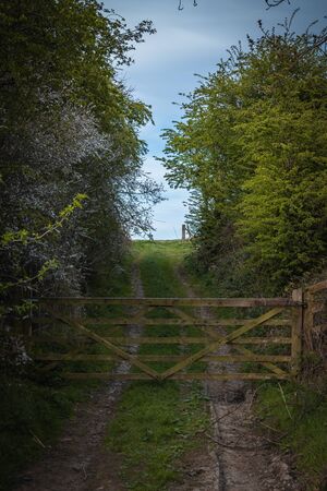An old rustic wooden farm gate in the countryside with a dirt track and treesの写真素材