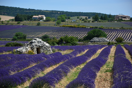 Borie en Provence (France House of Stones)の写真素材