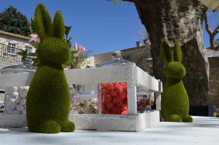 Easter Bunnyの写真素材