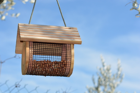 A small bird house outdoorの写真素材