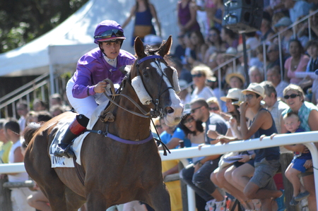 Hippodrome a Sault (South of France, The only horse race in the year, 13 August 2017)のeditorial素材