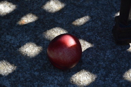 A red nectarine on the groundの写真素材