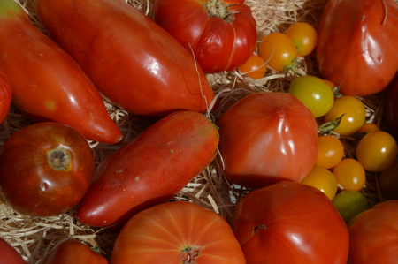Vegetables in a wooden boxの写真素材