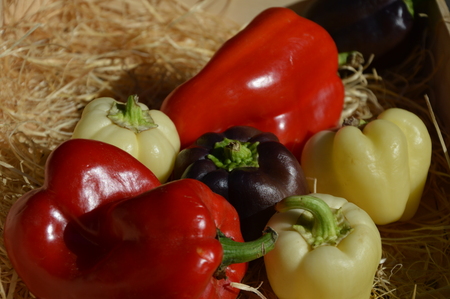 Vegetables in a wooden boxの写真素材