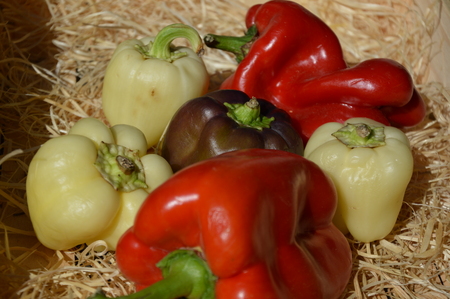 Vegetables in a wooden boxの写真素材