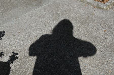 Shadows on the groundの写真素材