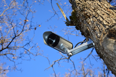 Zoom on a video surveillance camera with blue sky backgroundの写真素材