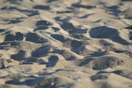 Zoom on the beach from the mediterranean seaの写真素材