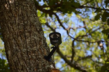 Closeup on a video surveillance cameraの写真素材