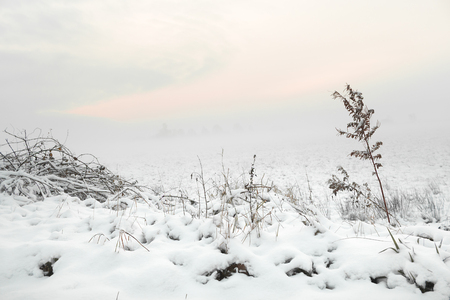 Sunrise in winter in Teufelsmoor near Bremenの写真素材