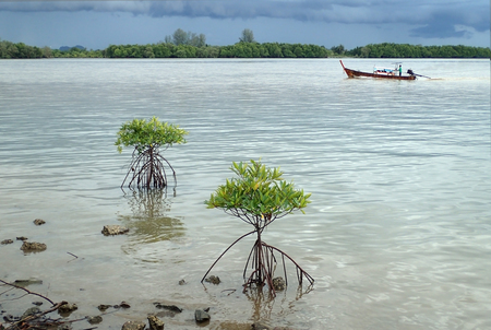 landscapeの写真素材