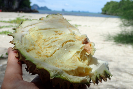 Cut durian on the beachの写真素材