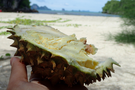 Cut durian on the beachの写真素材
