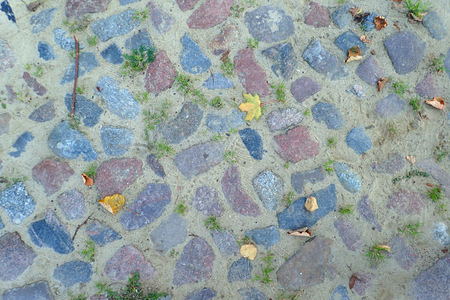 Autumn leaves on stone pavementの写真素材