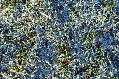 Frost on the grass in late autumnの写真素材