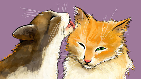 Cat licks a cat on a purple backgroundの写真素材