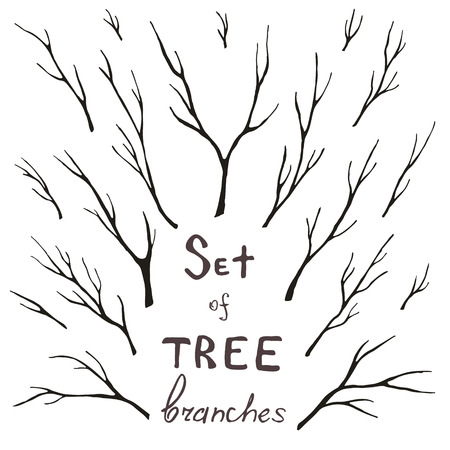 set of tree branches, trunk, twig, stem. eco design for frames, decoration, greeting, invitation cards, postcards.のイラスト素材